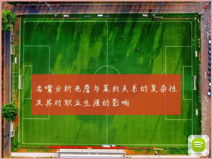 名嘴分析老詹与莱利关系的复杂性及其对职业生涯的影响